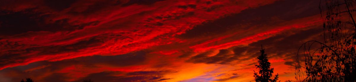 cropped-red-sky-sunrise-2.jpg