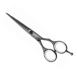 KIEPE Picasso Series Future 5.5 Inch Scissor
