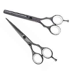 KIEPE Picasso Series Future 5.5 Inch Scissor Set