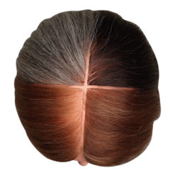 Special 4 Colour Section Training Head