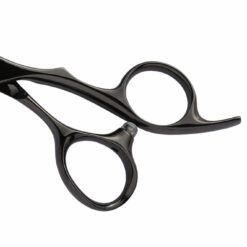 Leader Shidosha Black Titanium Hairdressing Scissors