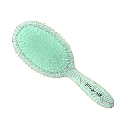Framar Cheers Haters Great Gatsby Detangling Brush