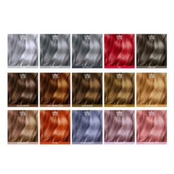 Indola Color Style Mousse 200ml