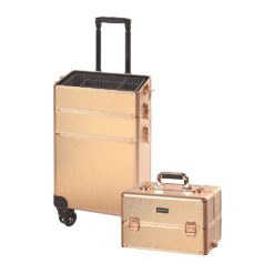Sibel Rose Gold Trolley Case