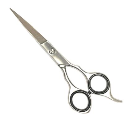 DHS Student 5.5 Inch Scissor