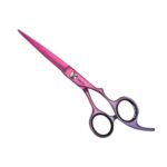 Jaguar Jaguart Supanova Nya 5.5 Hairdressing Scissors