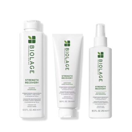 Matrix Biolage Strength Recovery Gift Kit