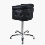 Ayala Kid Lux Styling Chair - Image 2