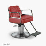 Takara Belmont Cadilla Backwash Chair - Image 3