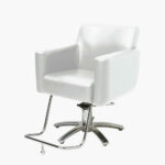 Takara Belmont Coff Styling Chair