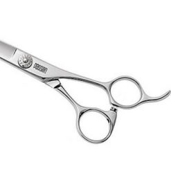 PASSION Barber Hairdressing Scissors